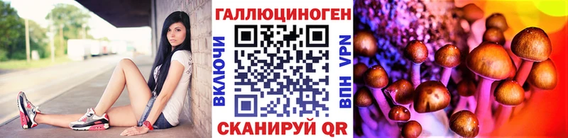 Купить где  Красноуфимск  Псилоцибиновые грибы Magic Shrooms 